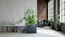 Květináč Prosperplast URBI CASE T 77 cm antracit