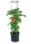 Květináč Prosperplast TOMATO GROWER na pěstování rajčat 39,2 cm antracit